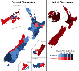 General Election Results and Controversy