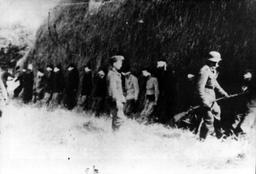 Partisans liberate Bosnia-Herzegovina with Tito's campaign.