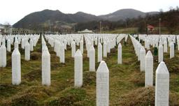 ICJ rules Srebrenica massacre genocide, clears Serbia of direct responsibility.