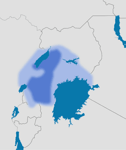 Establishment of Chwezi Dynasty