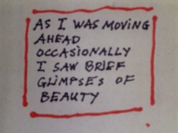 Moment image for As I Was Moving Ahead Occasionally I Saw Brief Glimpses of Beauty