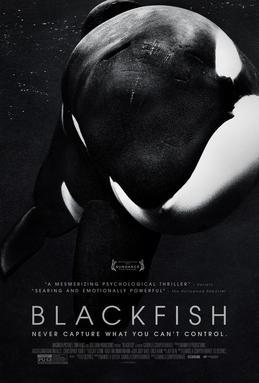 Moment image for Blackfish