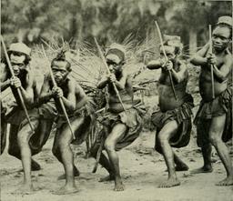 Indigenous Africans Protest Against Concessionaire Abuses