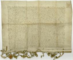 The Peace of Thorn: End of war, victory for Poland-Lithuania against Teutonic Order.