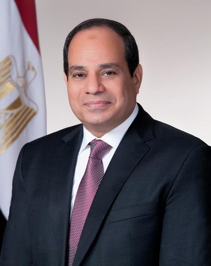 Moment image for Abdel Fattah el-Sisi Elected President