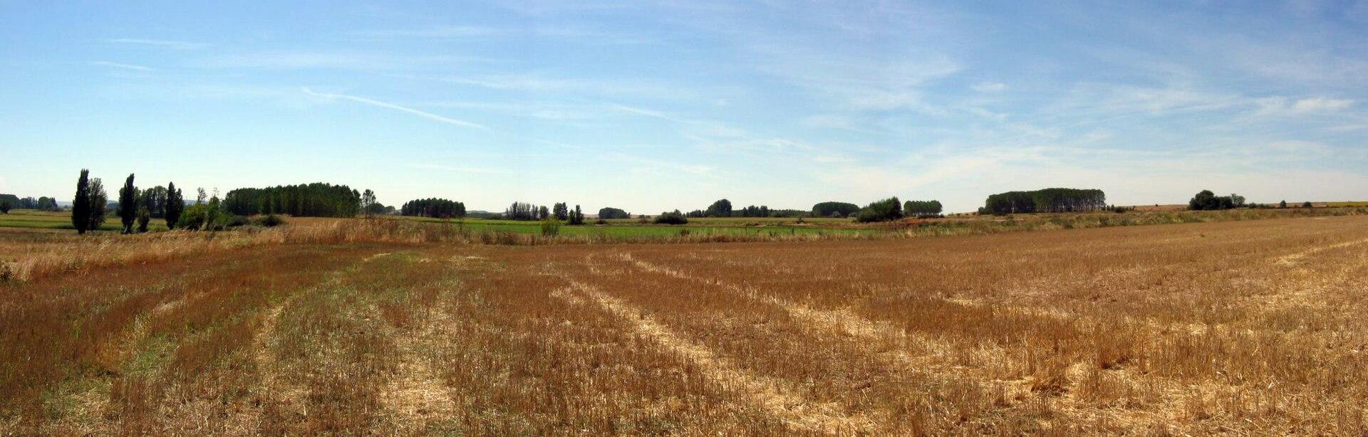 Moment image for Sancho the Strong defeated Alfonso the Brave in the Battle of Llantada near Melgar de Fernamental.