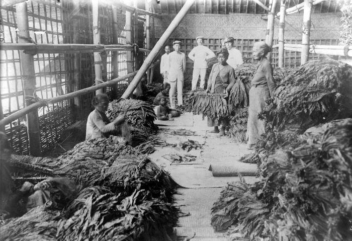 Moment image for Impact of Cultivation System on Economy and Labor in Dutch East Indies.
