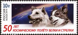 Belka and Strelka: Earth's First Orbiting Animals