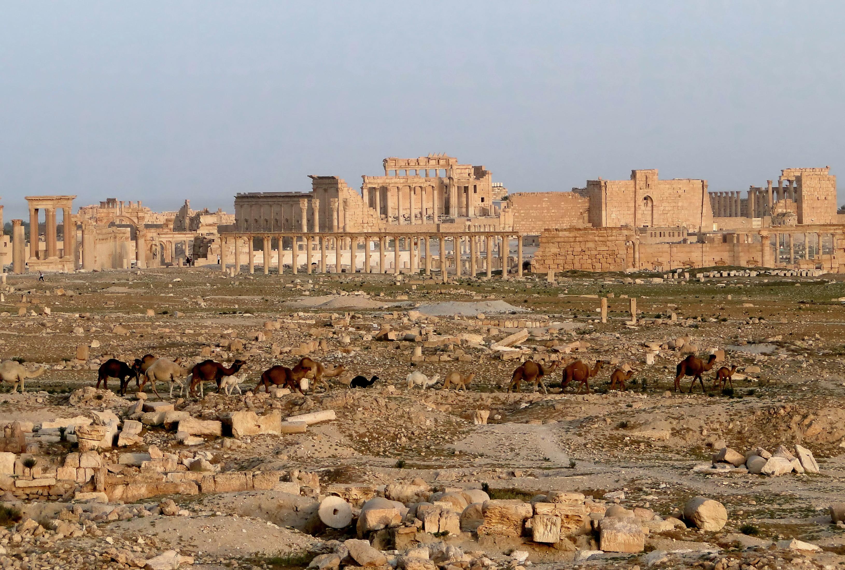 Moment image for Hadrian's visit and construction projects in Palmyra: Temple of Bel.