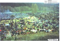 The Kosovo War: Ethnic conflict, international intervention, and the road to peace.