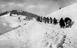 Serbian army's challenging winter retreat through Kosovo against Central Powers, resulting in devastation and loss.