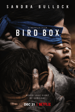 Moment image for Bird Box 