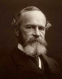 William James publishes 'Principles of Psychology'
