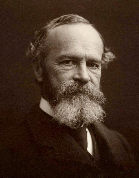 Moment image for William James publishes 'Principles of Psychology'