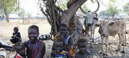 South Sudan declares disaster in Jonglei after ethnic violence displaces 100,000, highlighting need for peace.