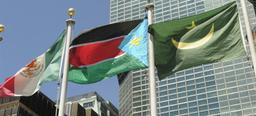 South Sudan Joins UN