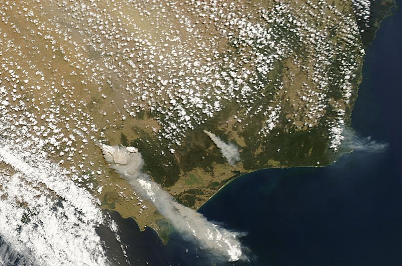 Moment image for Black Saturday Bushfires in Australia