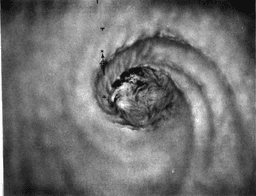 Typhoon Ida, one of the most intense and devastating storms recorded in history