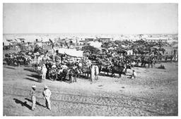 Diamond Rush in Kimberley Spurs Mining Industry Growth