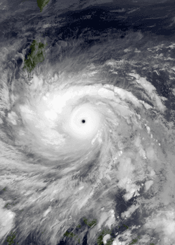 Typhoon Haiyan: Widespread Devastation