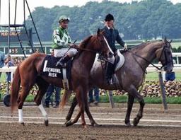 Genuine Risk wins with jockey Jacinto Vásquez in 2:02.0 on a fast track.