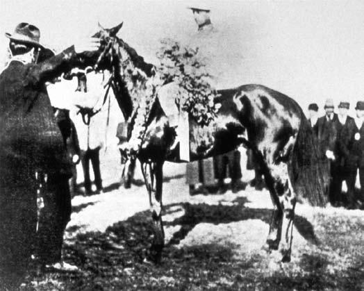 Moment image for Wintergreen wins with Powers riding for Mack, Respess owning, on a slow track in 2:08.2.