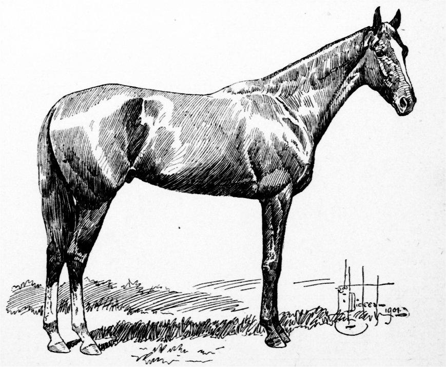 Moment image for His Eminence, ridden by Jimmy Winkfield, wins in 2:07.75 on a fast track.