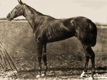 Moment image for Hindoo triumphs with Jim McLaughlin at 1+1⁄2 miles in 2:40.0 on a fast track.