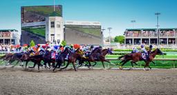 Kentucky Derby 2024 – A Derby for the Ages