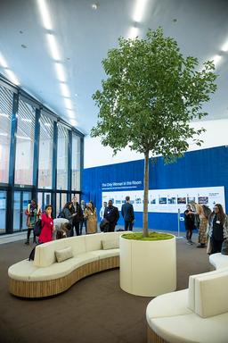 Cooperation in a Fragmented World