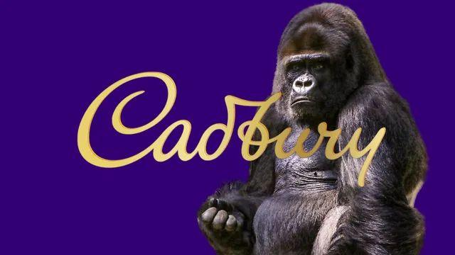 Moment image for Phil Rumbol and the Cadbury Gorilla