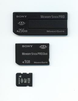 Sony launched the Memory Stick format