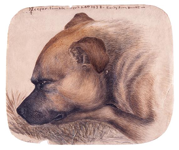 Moment image for Emily Brontë Paints Her Dog Keeper