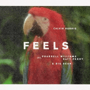 Moment image for Collaboration with Calvin Harris on "Feels" Elevates Her Musical Career