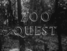 Moment image for The Pattern of Animals and Zoo Quest