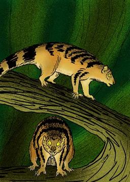 Kitten-sized extinct 'lion' named after David Attenborough