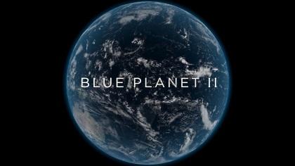 Moment image for Blue Planet II is year's most watched British TV show