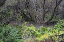 Eastwood Buys Land Near Malpaso Creek