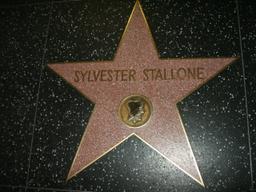 Star on the Hollywood Walk of Fame