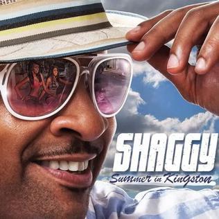 Moment image for Shaggy released his album Summer in Kingston.