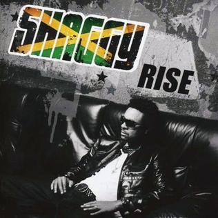 Moment image for Shaggy released his album Rise.