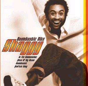 Moment image for Shaggy released Boombastic Hits, a compilation album under MCA Records.
