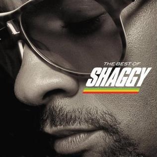 Moment image for Shaggy released Best of Shaggy: The Boombastic Collection, a compilation album under Geffen Records.