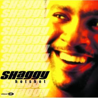 Moment image for Shaggy's *Hot Shot* Album A Defining Moment in Reggae Fusion and Early 2000s Music