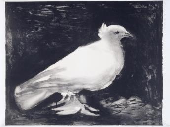 Moment image for Picasso's Dove: Symbol of Peace and Political Activism