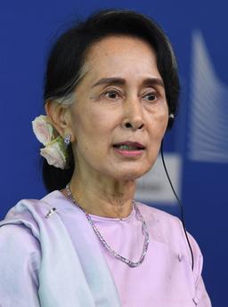 Aung San Suu Kyi's brief public appearance