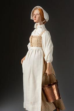 Rutledge's Death from Typhoid Fever