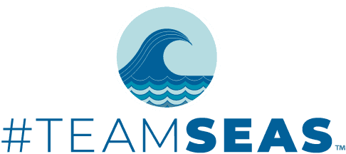 Moment image for Efforts to Remove 30 Million Pounds of Ocean Plastic