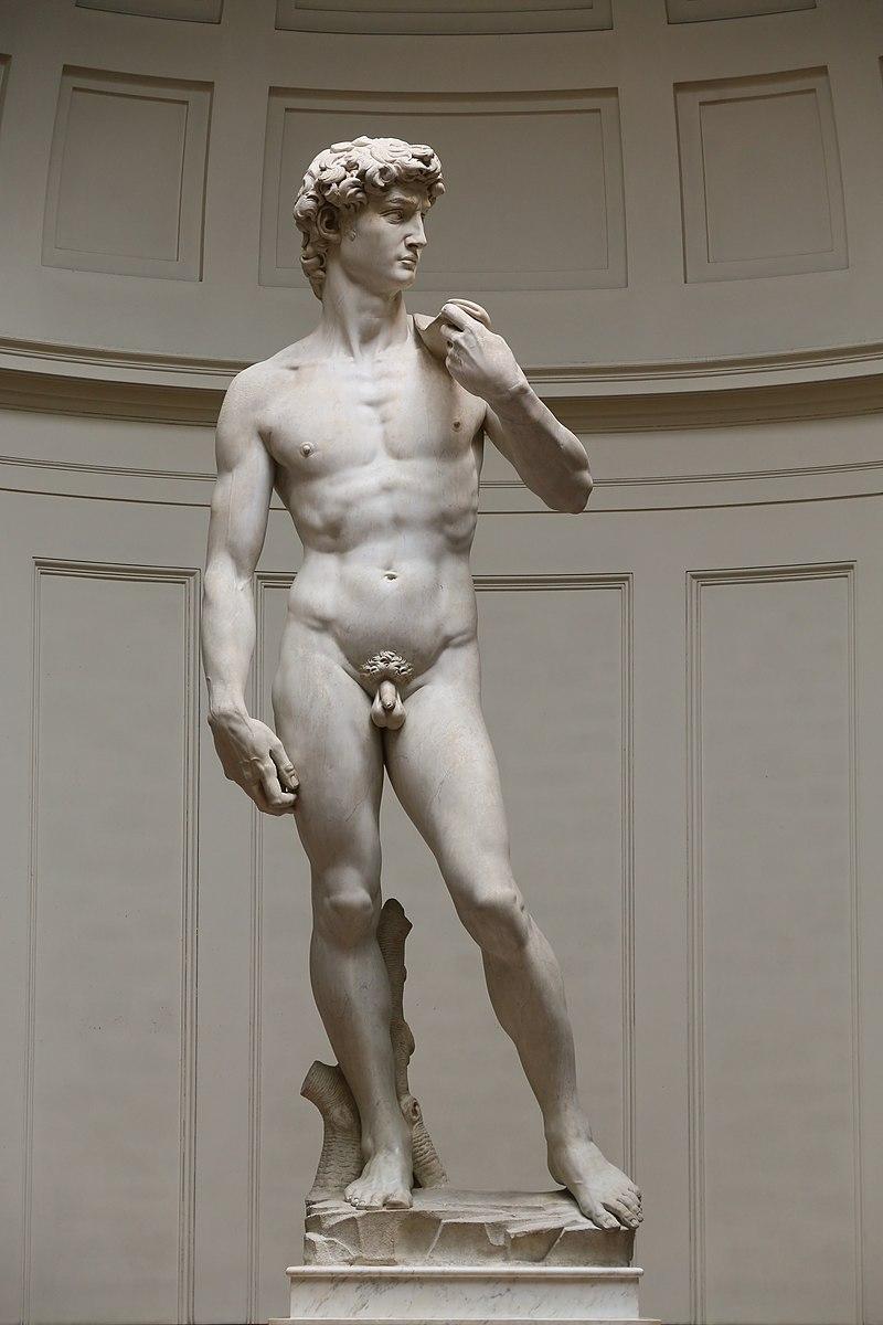 Moment image for Michelangelo's David: Symbol of Florence's Strength and Liberty