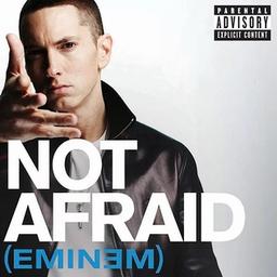 Eminem's "Not Afraid" from *Recovery*: Overcoming struggles, chart-topping success, and career resurgence.